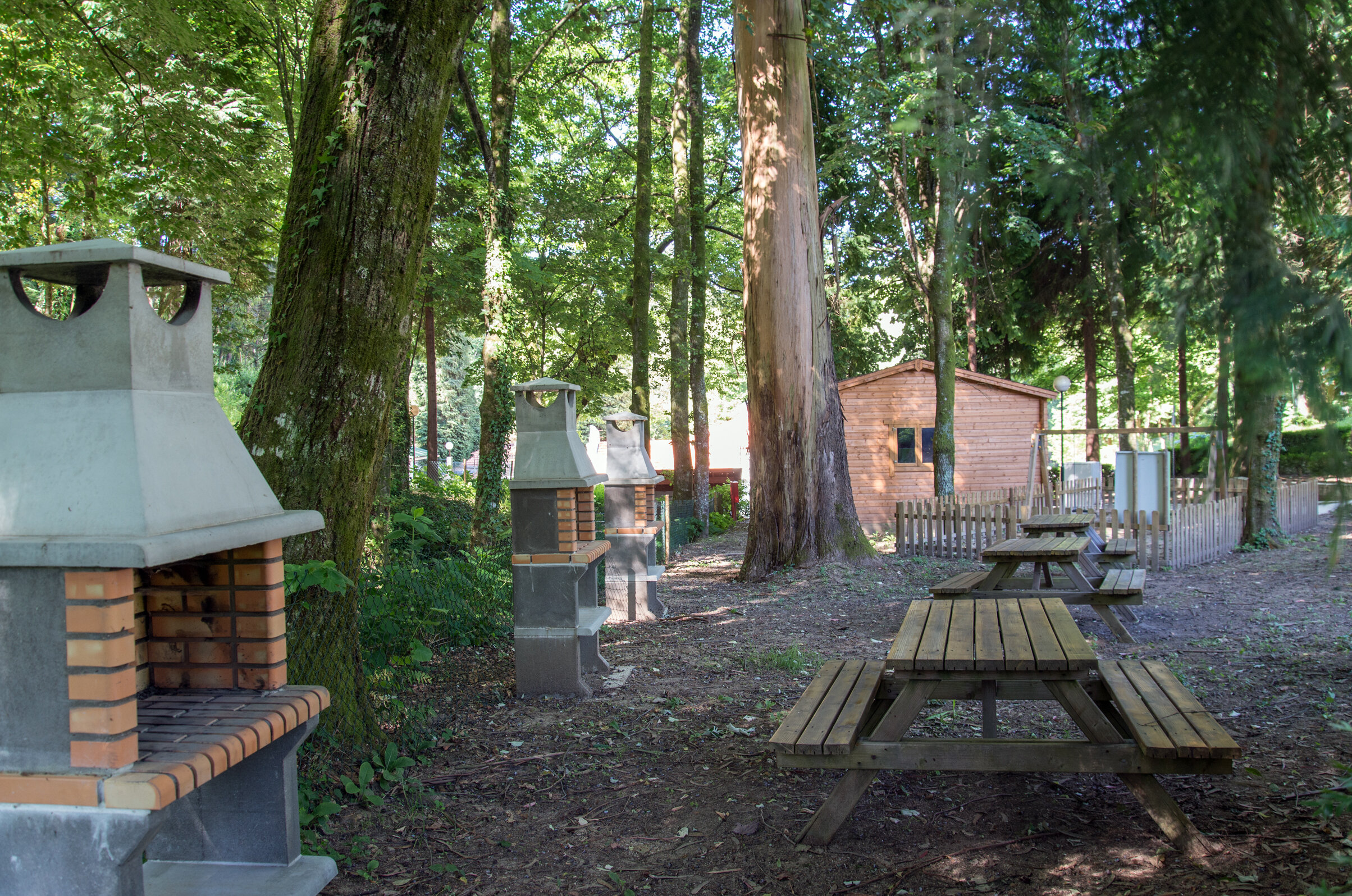 Camping Site Image